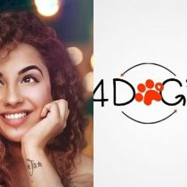 4 Dogs Sake India