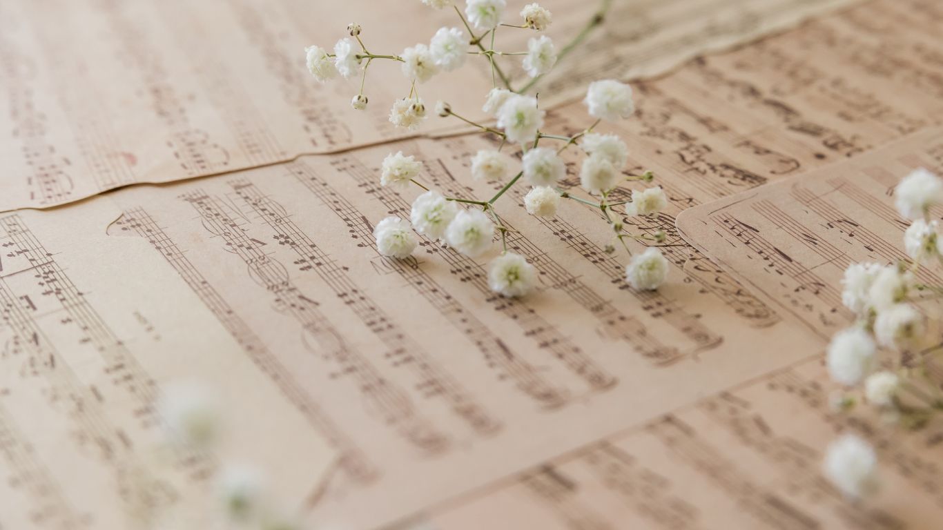 Song, music, Anuv Jain, When Chai Met Toast