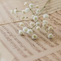 Music, Riday