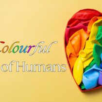 colourful, colours, community, society, LGBTQIA+