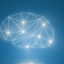 Cognitive Psychology, Mental, Process, Attention, Memory, Language