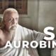 Sri Aurobindo, Freedom Fighter, Liberation, Yoga, Integral yoga, spiritual