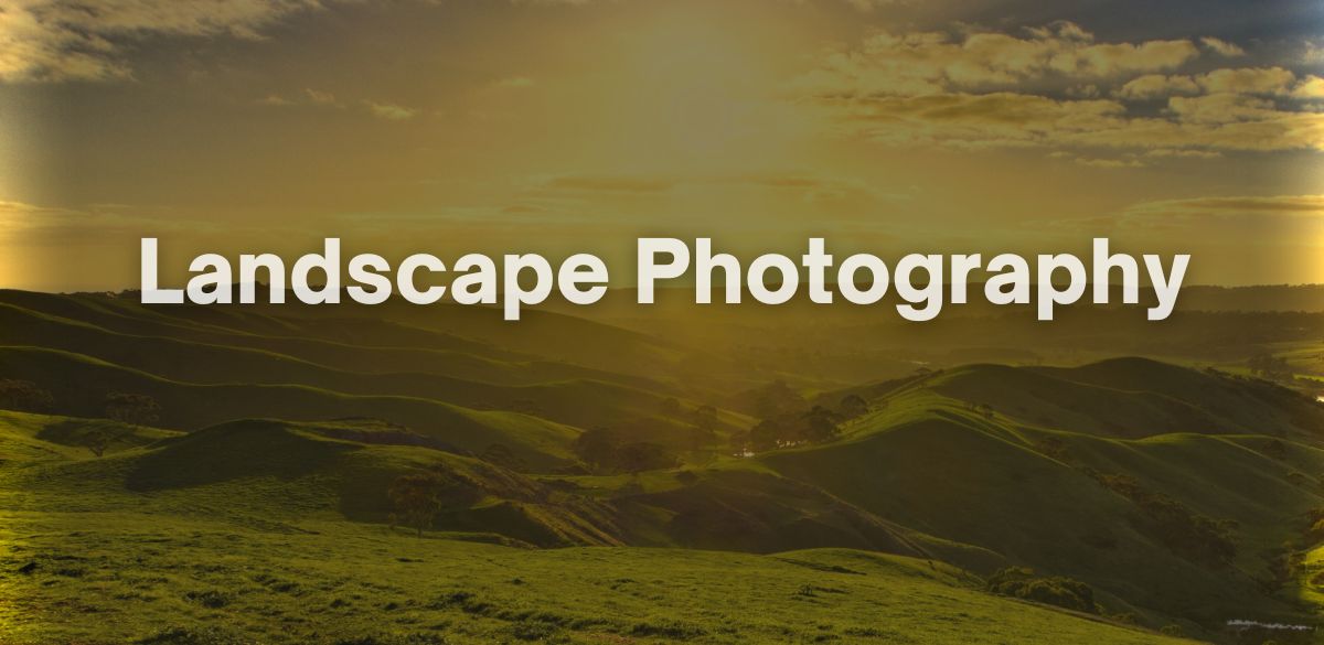 landscape, photographer, photography, nature, shot