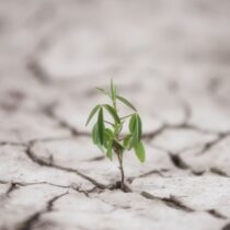 Emotional , life, ability , resilience , stress