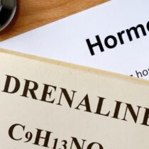 Adrenaline, Cushings , Addisons, cortisol, brain