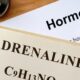 Adrenaline, Cushings , Addisons, cortisol, brain