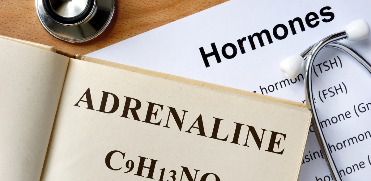 Adrenaline, Cushings , Addisons, cortisol, brain