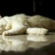 Rest, lazy, India, people mindset