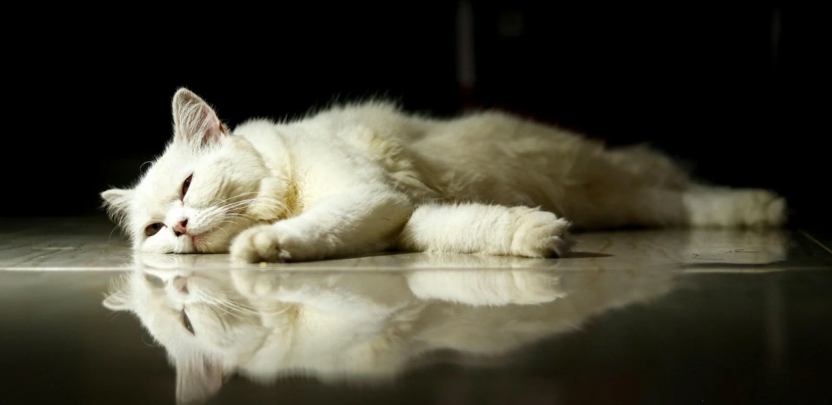 Rest, lazy, India, people mindset