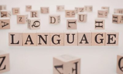 Language, Indian, Stigma, Mental, Health