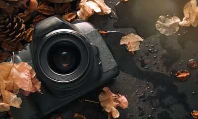 Photography, photographer, work, ,life, art