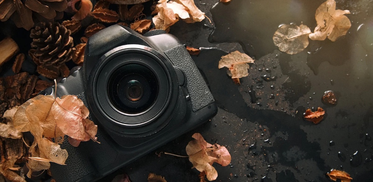 Photography, photographer, work, ,life, art