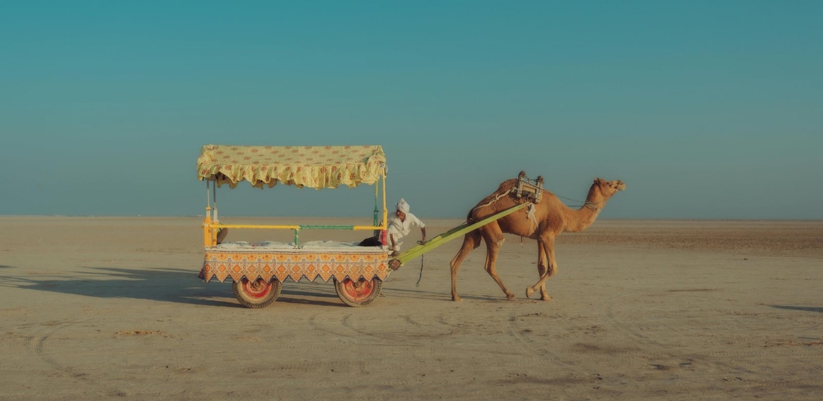 Kutch, white, salt , desert, utsav